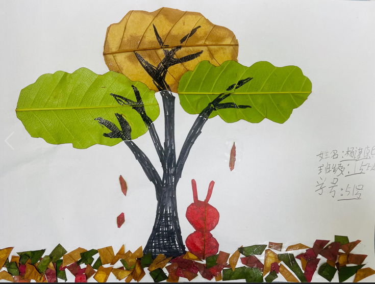 成都市双流区实验小学外国语学校开展阅读课程专题研讨教研活动