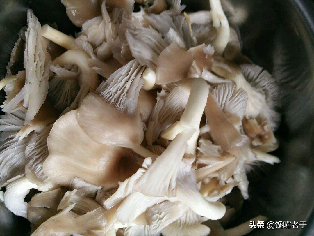 干炸蘑菇,干炸蘑菇的簡單做法步驟