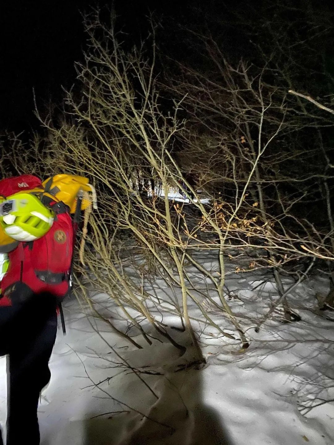 主人雪中爬山时遇险，随行的狗狗坚守在旁帮他取暖，直到救援到来