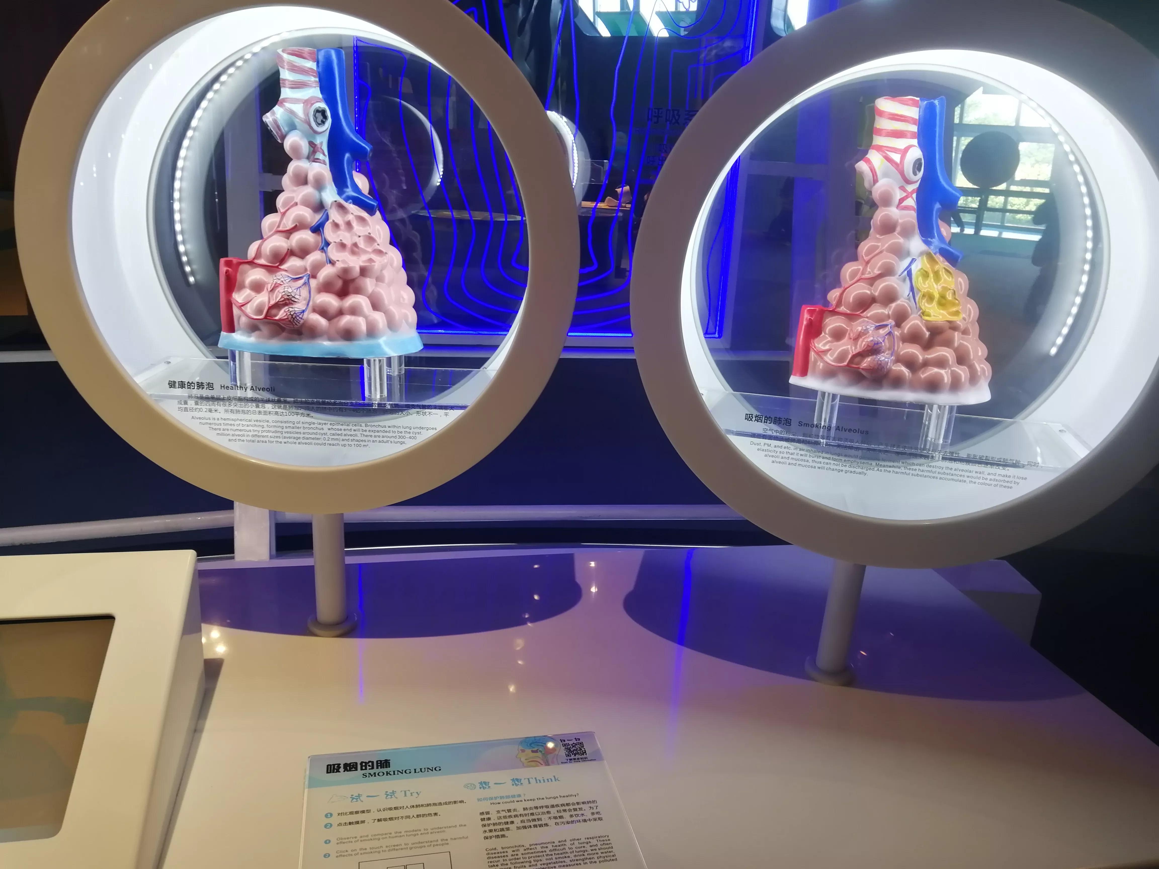 地铁4号线广州大学城一日游，带你体验不一样的大学城风景（A篇）