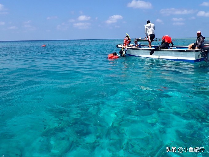 豪华游轮旅游攻略(三峡豪华游轮之行,旅游攻略)