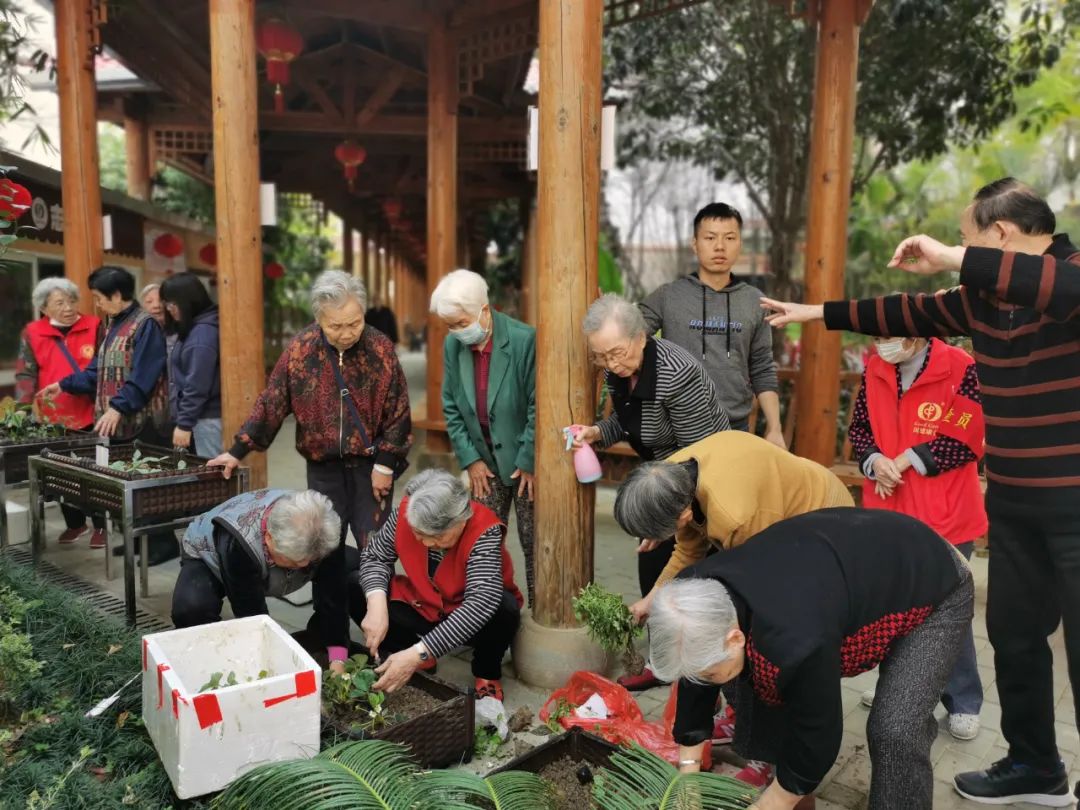 春暖国德（自理篇）丨不为往事忧，但愿余生笑