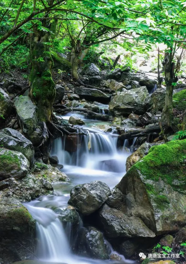 这是最美的夜景，泛着银光的塔顶挂着圆月，山海相连日月同辉