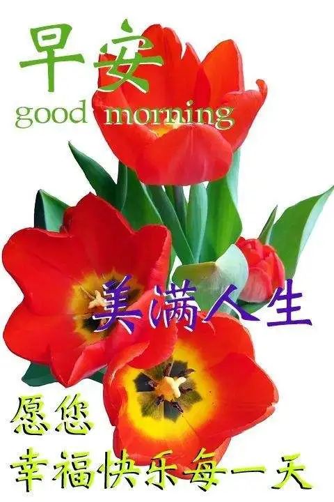 71 早上好,一束阳光照在身,祝你天天都高兴,财神家中去,胡想酿成真