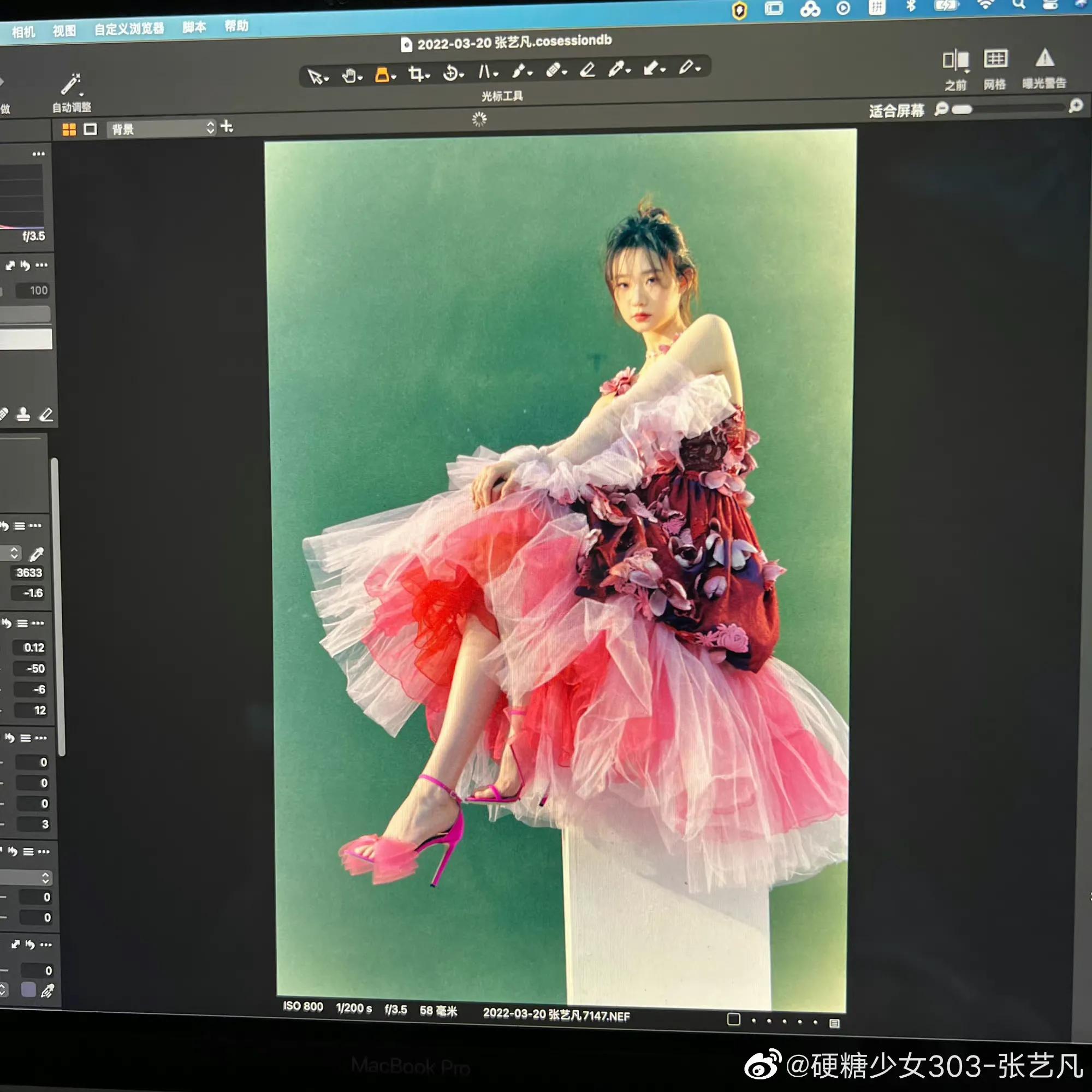 迪丽热巴直播花朵礼服裙，张艺凡李紫婷也穿过