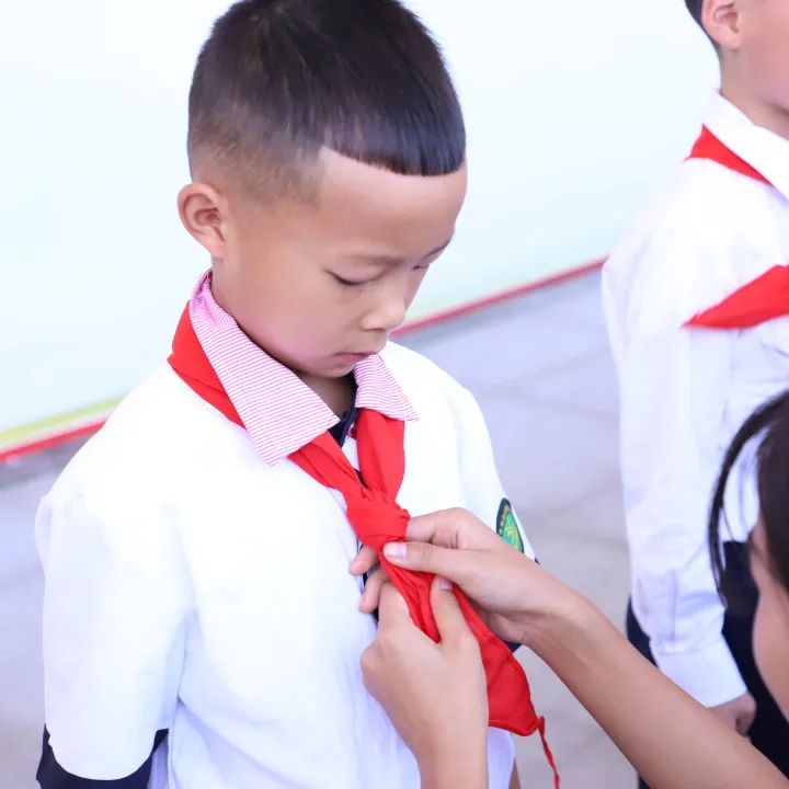 红领巾心向党 争做新时代好队员｜成都市双流区黄甲小学