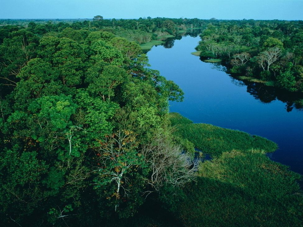亚马逊雨林有多可怕？面积比半个美国还大，有当地人不敢下河游泳