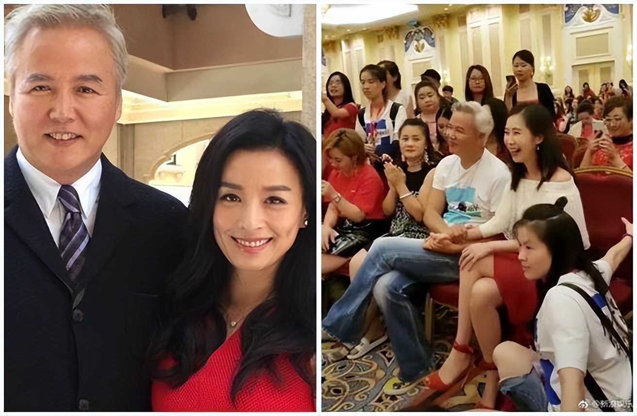 张庭为夺回被冻结的20亿，请法学教授何兵出山，能成功追回吗？