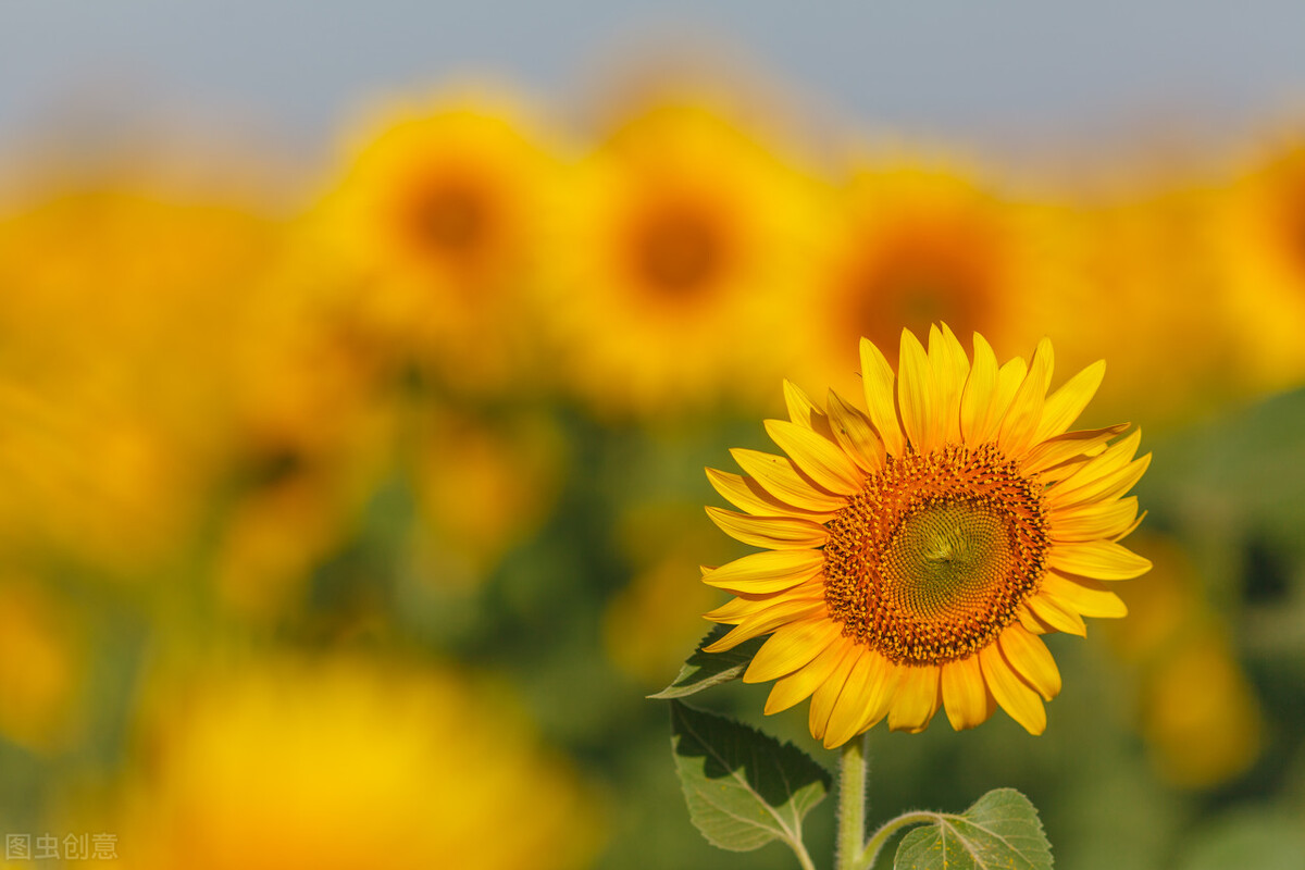 （收藏）适合发朋友圈的短句文案