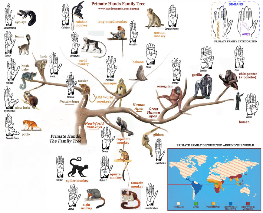 为保证人类正统,已全部销毁,是真的?