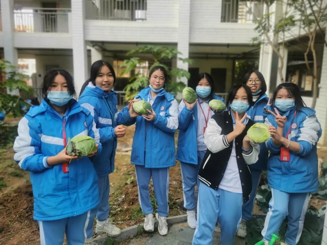 廣州市南沙第一中學(xué)：我在豐澤東路的日子(圖35)