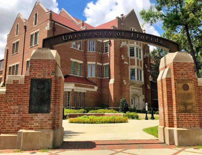 河南16岁富二代：从不吃青菜，有钱才看书，喜欢追着生活老师打