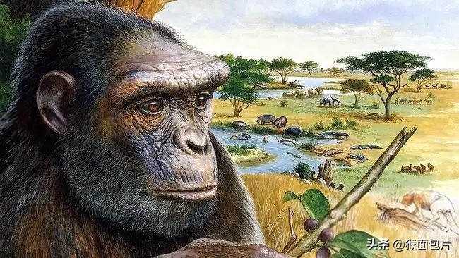 以此文章,致敬从恐龙灭绝到人类文明,地球上出现过的生灵