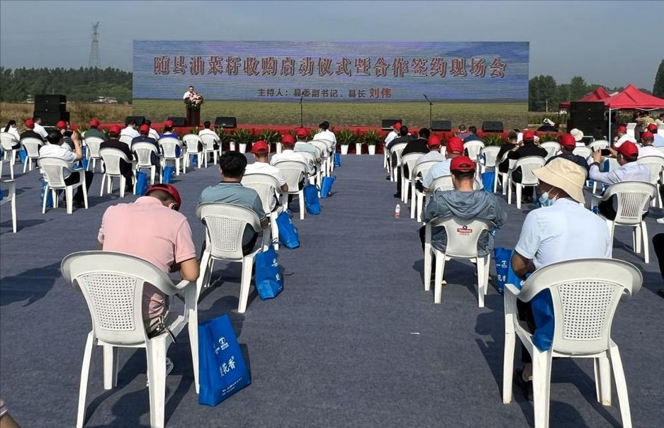 15萬(wàn)畝油菜應(yīng)收盡收 隨縣啟動(dòng)油菜籽收購(gòu)