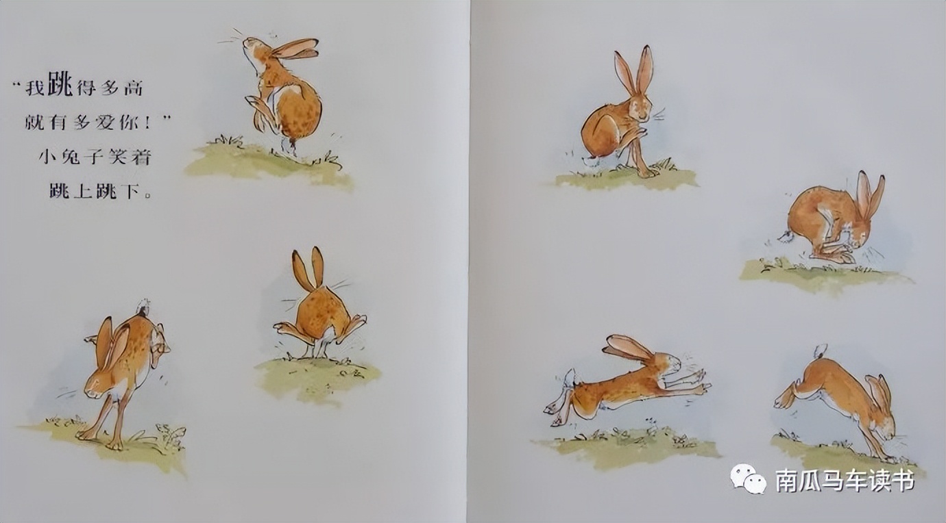 绘本《猜猜我有多爱你》：致敬母亲节——母爱到底有多长