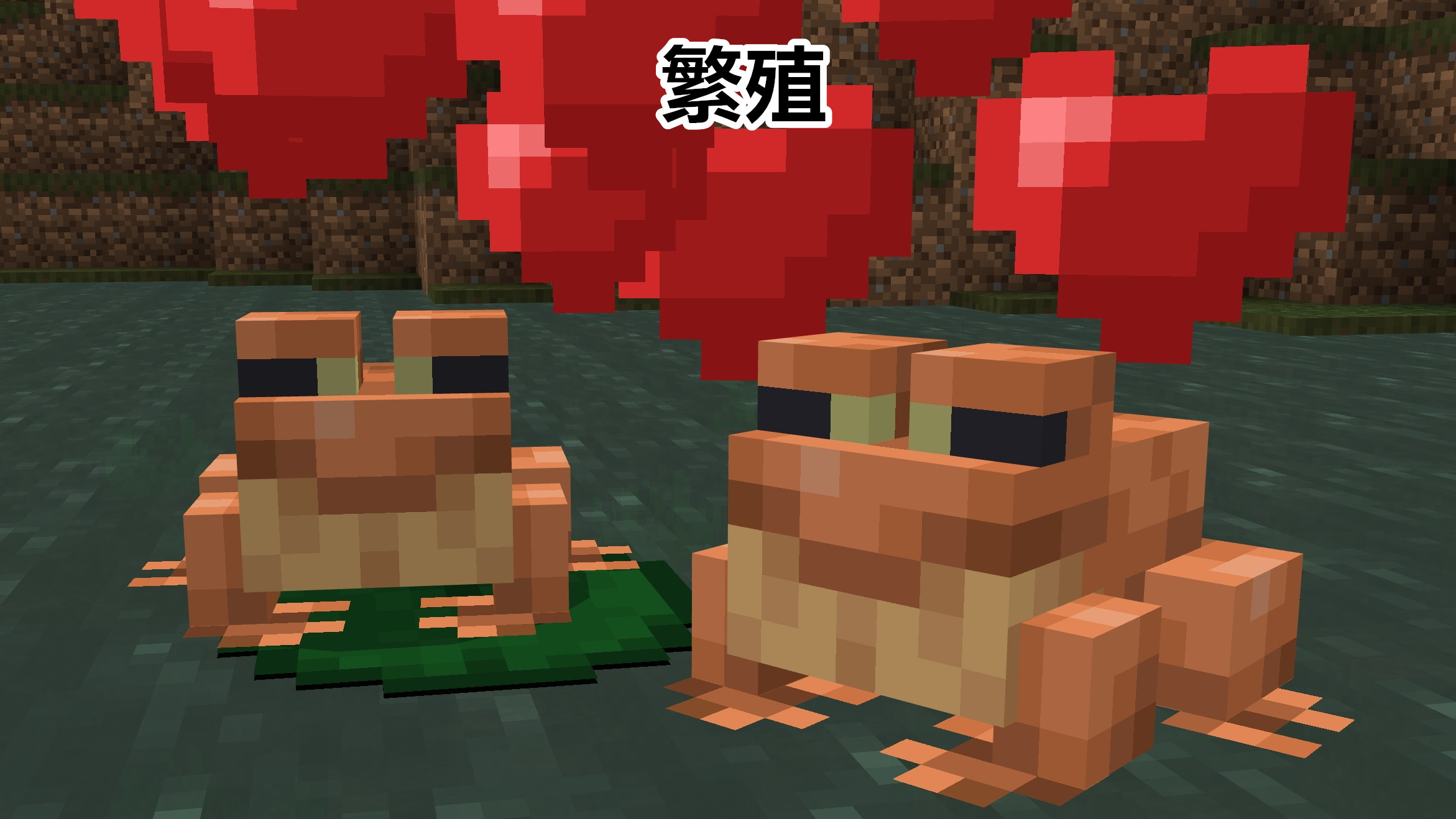 田雞是青蛙嗎,田雞是青蛙嗎?田雞和青蛙有什么區別?