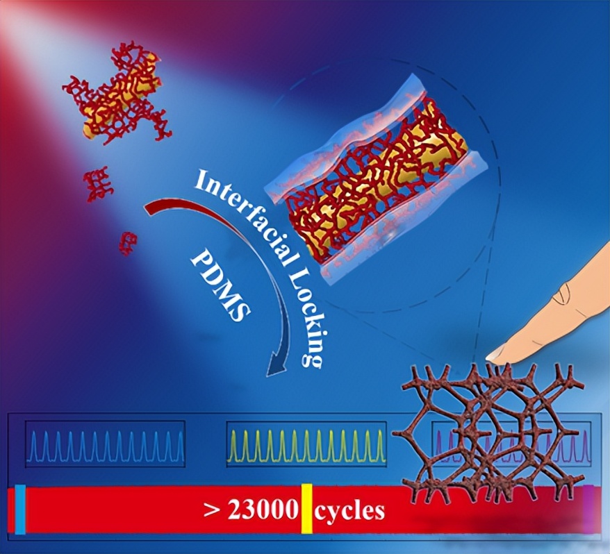 中山大学在金属气凝胶高稳定性柔性压力传感器应用方面获进展