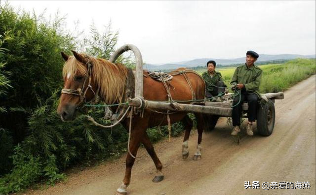 老年手推车图片大全(七八十年代农村10种经典的运输工具 赤虎壹号