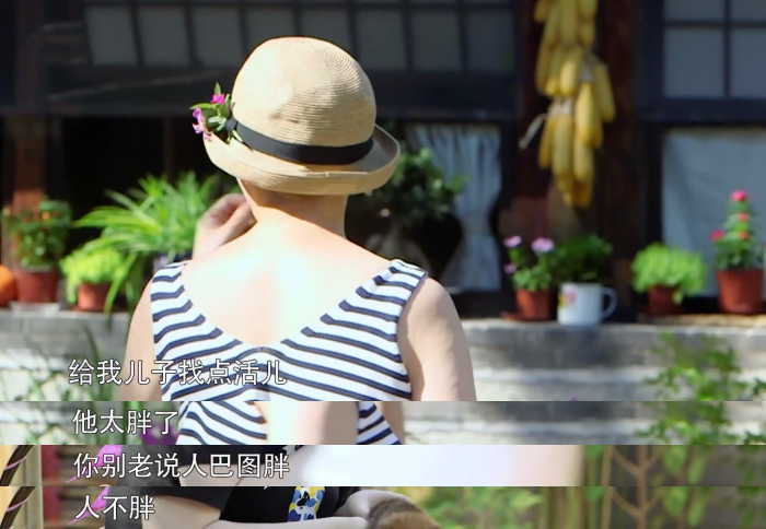 宋丹丹，你真该学一下张三丰