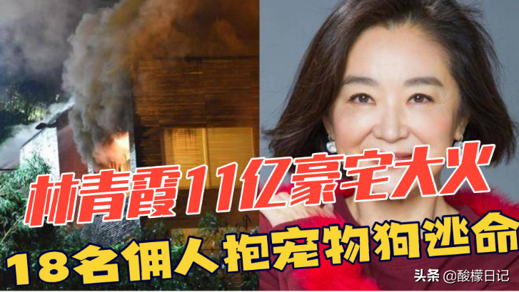 6位女星的上亿豪宅，李小冉8.5亿豪宅内养花，一个比一个奢侈