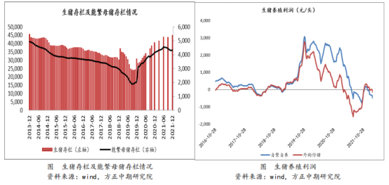 海外局势利好，玉米有望破3000？
