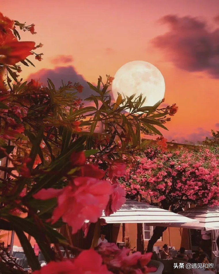 男人这样对你，很可能是想把你当免费“保姆”，要懂得远离