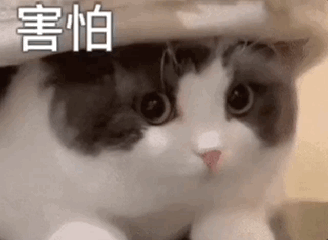 上网成瘾改变大脑结构：语言功能受影响，让人话都说不利索