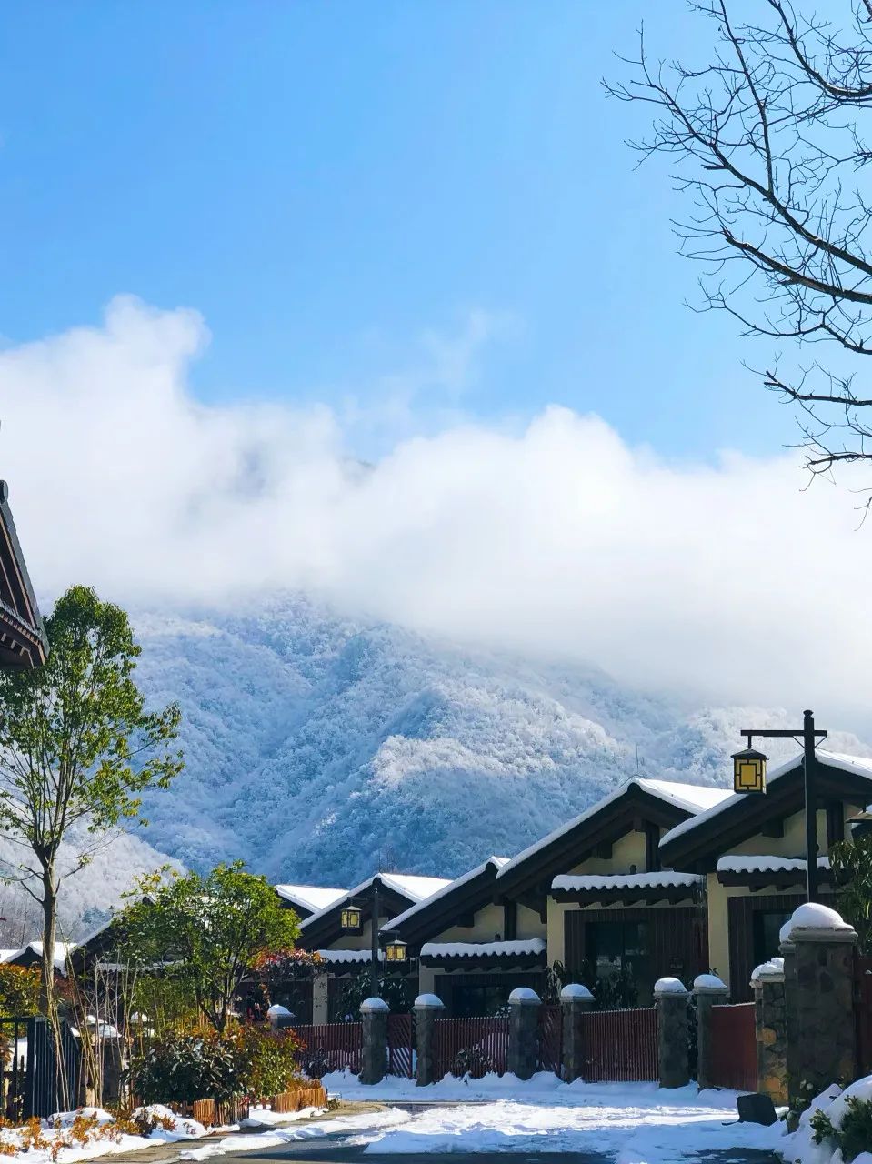 春日是良辰，白雪更添美好，一场春雪“南国雪都”刷屏网络