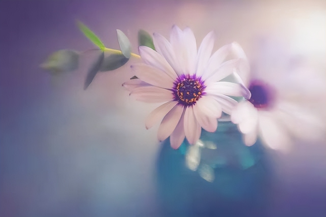 有三句情话，男生主动跟你说了，多半是爱你到极致了