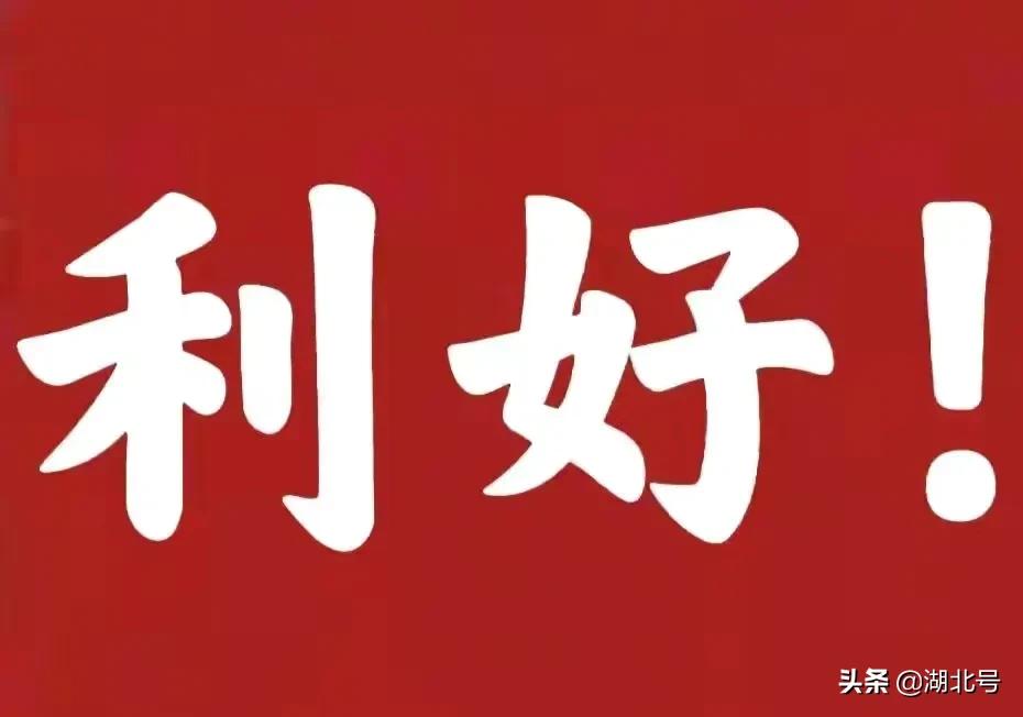 好消息！枣阳第三个高校挂牌成立，襄阳高教实力持续走强