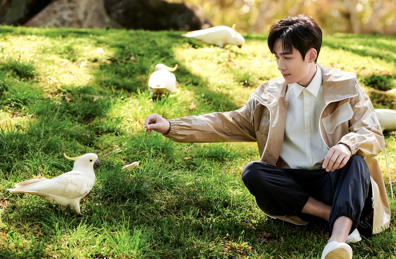 朱一龙的戏路挺宽的，他的剧我看过两遍以上，以前小动作还很多的