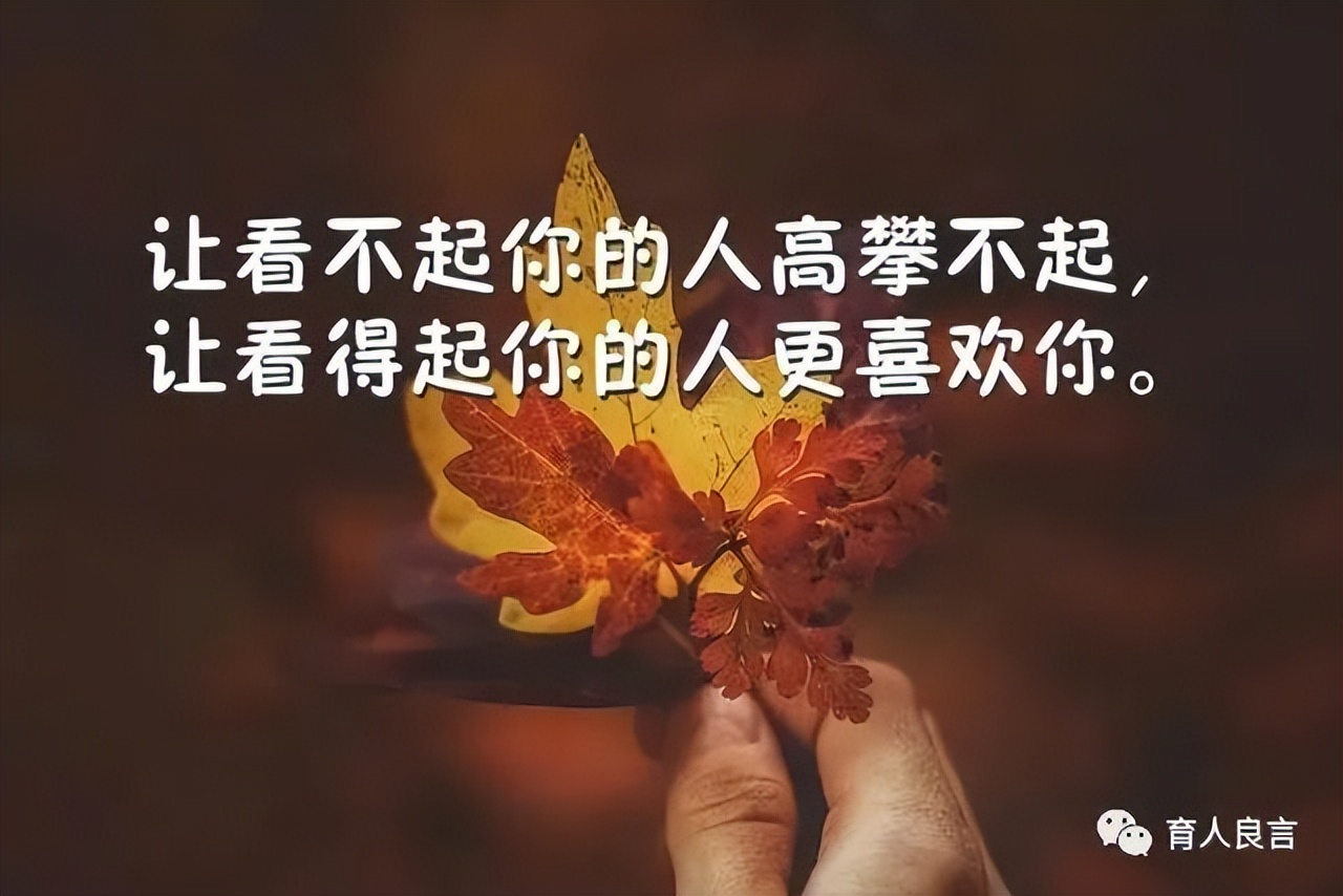 感悟人生的经典哲理句子,有深度有内涵,直击心灵