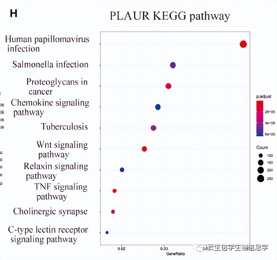 只做预后和富集分析就能发6分+？且看双基因如何一举拿到接收函