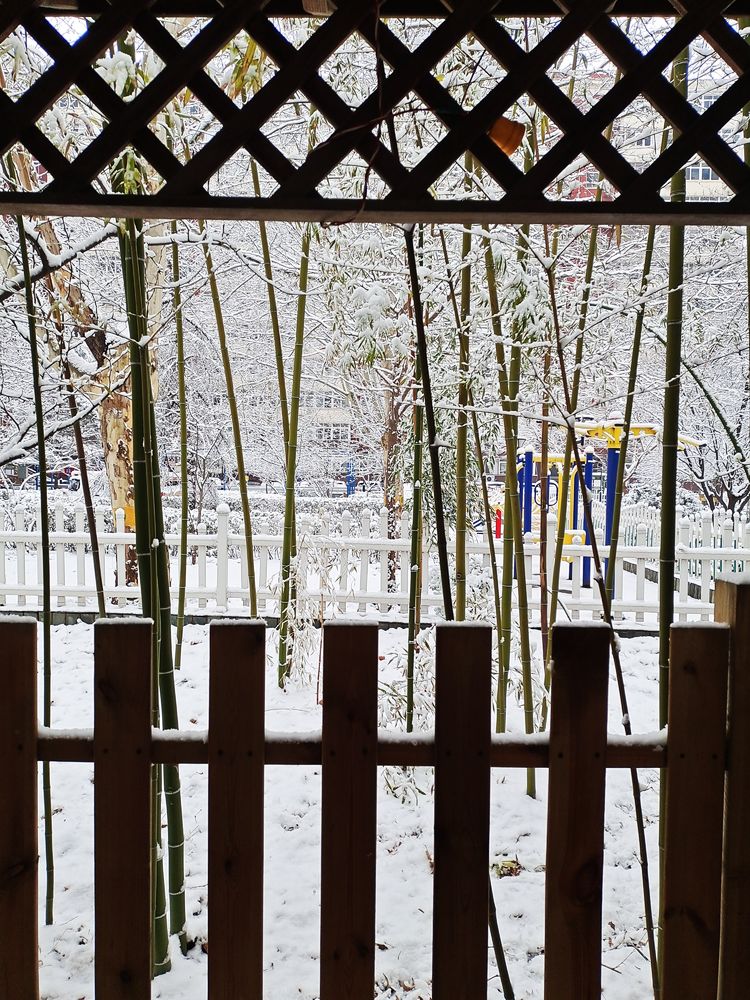 一场雪，让这里的春天真美 摄影/诗文：李武兵