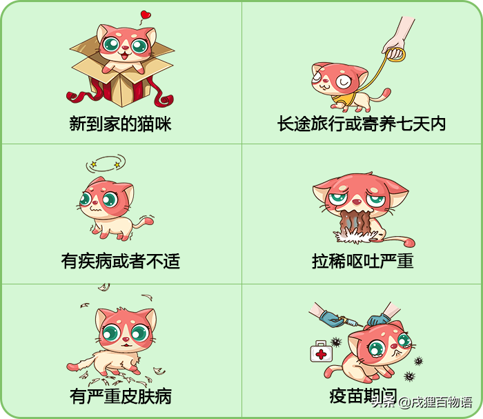 给猫猫驱虫，这些注意事项不能忘