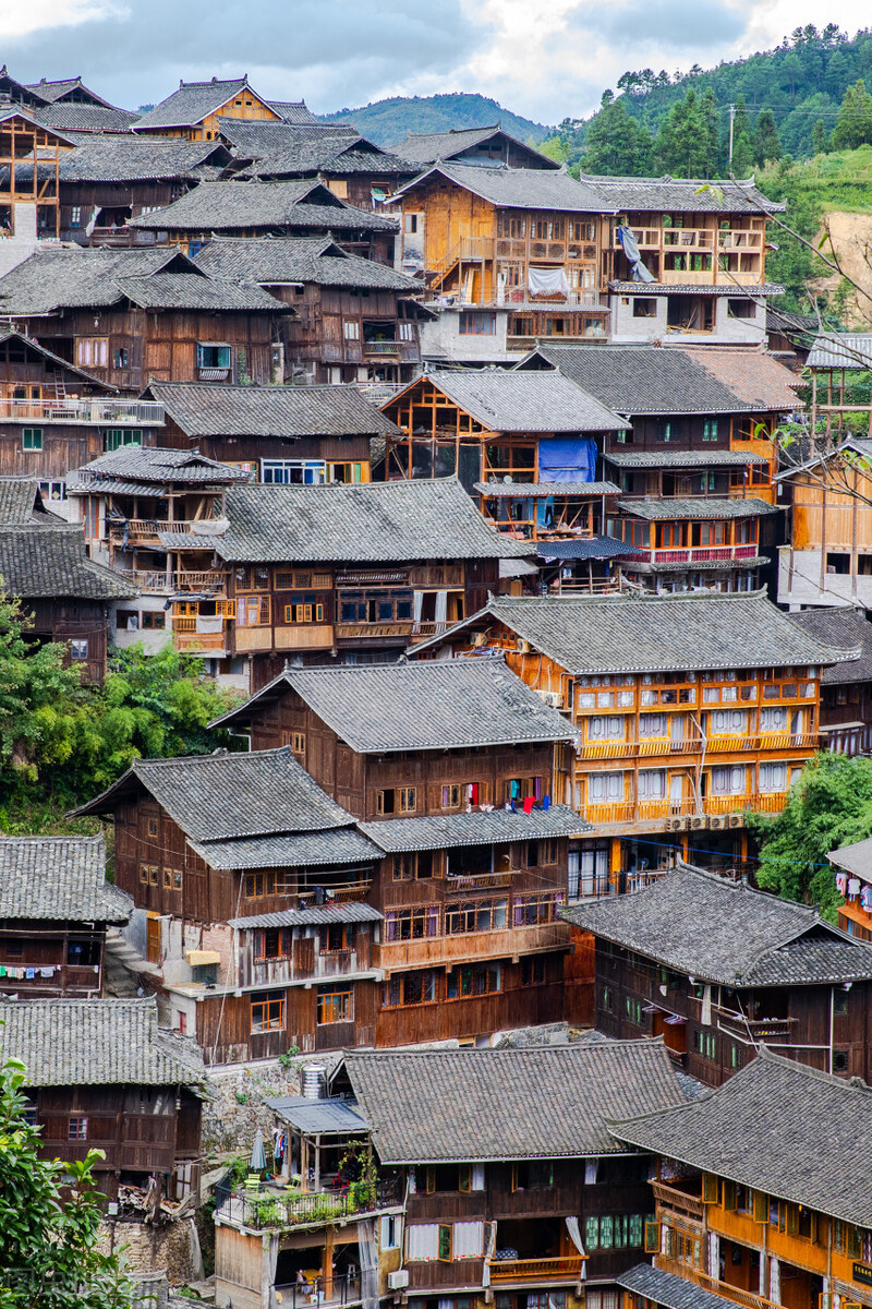 假如没有贵州，中国的春天就要凋零一半