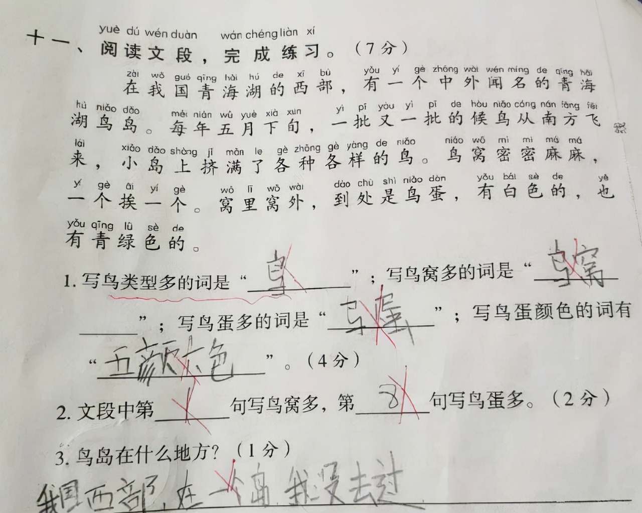 小学语文考试大调整，好在我们提前押对宝了