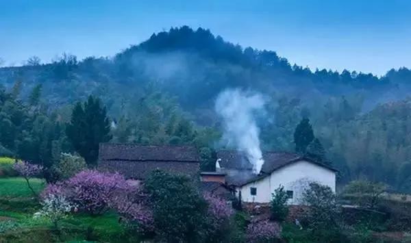 怀念母亲「诗三首」