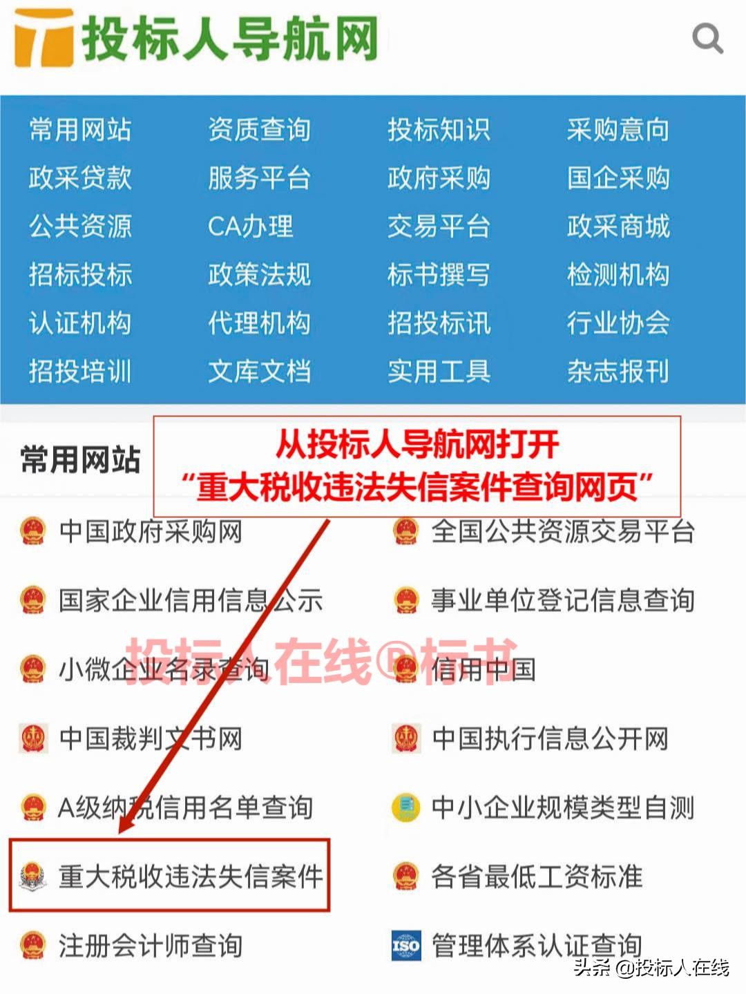 有重大税收违法失信，投标人将失去投标资格