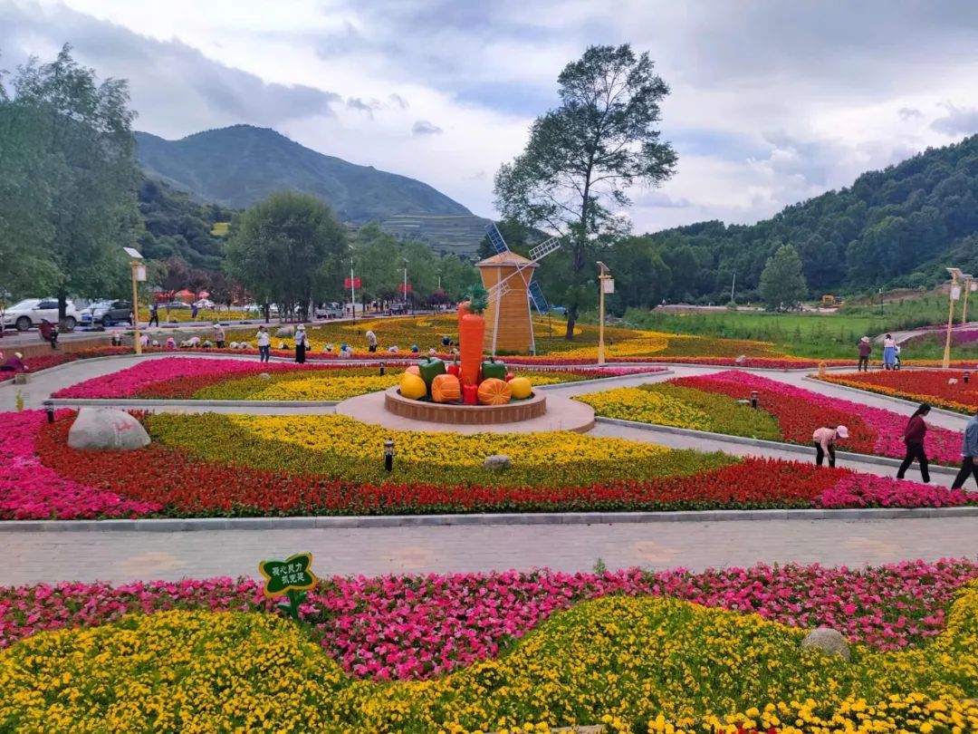 五一未必要远游 跟着镜头看风景