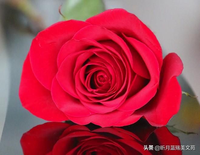 时间很浅，爱，爱情，请思考你