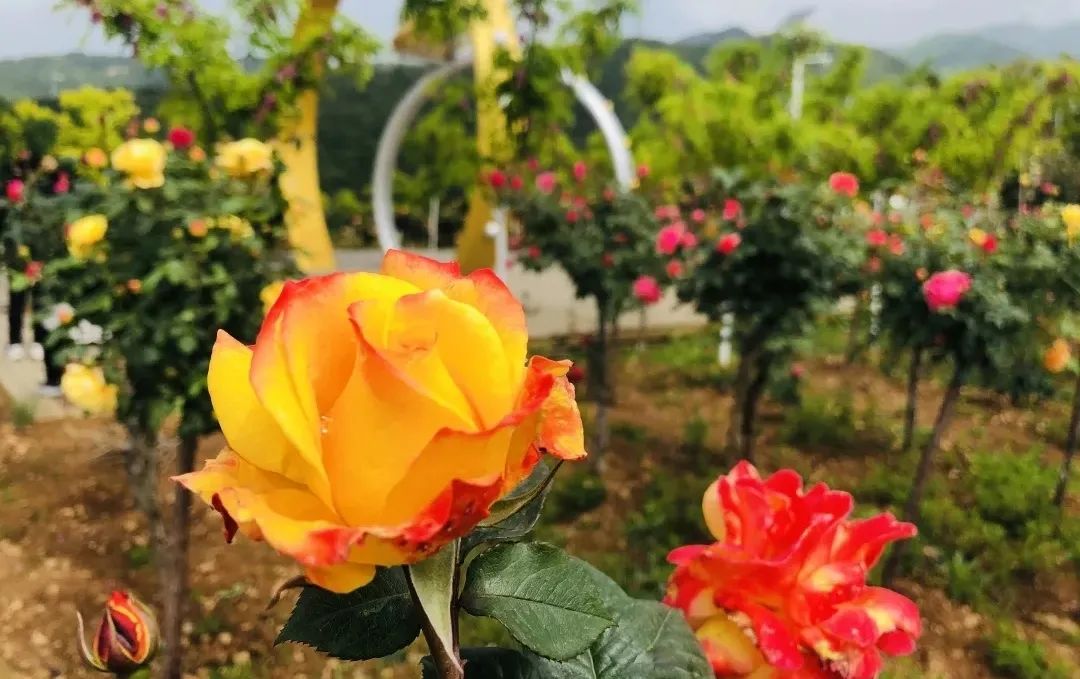 云游汉中美景,来场不一样的指尖相遇