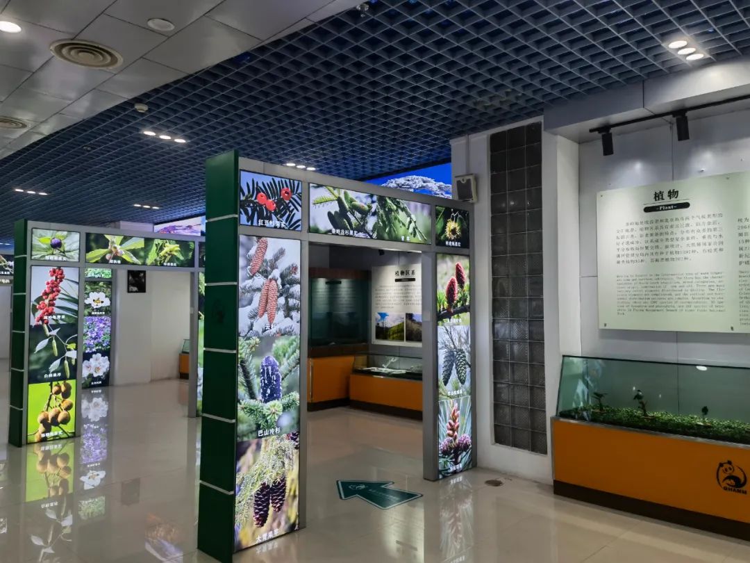 春游踏青別跟風(fēng)，快來漢中這里一站式體驗(yàn)“春之旅”！