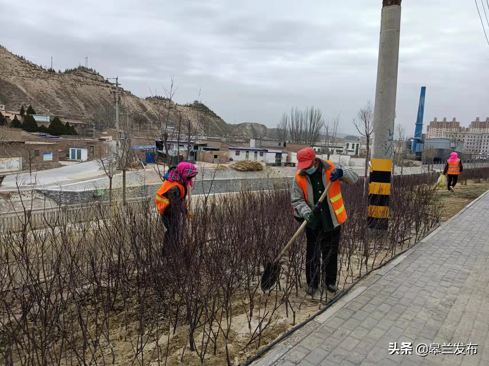 �����أ����Բ�ֲ����ʱ �̻�����������