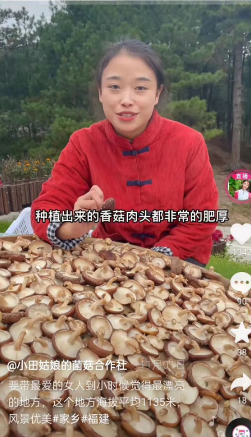 女大学生不顾父母反对，远嫁福建深山，两年后实现完美逆袭