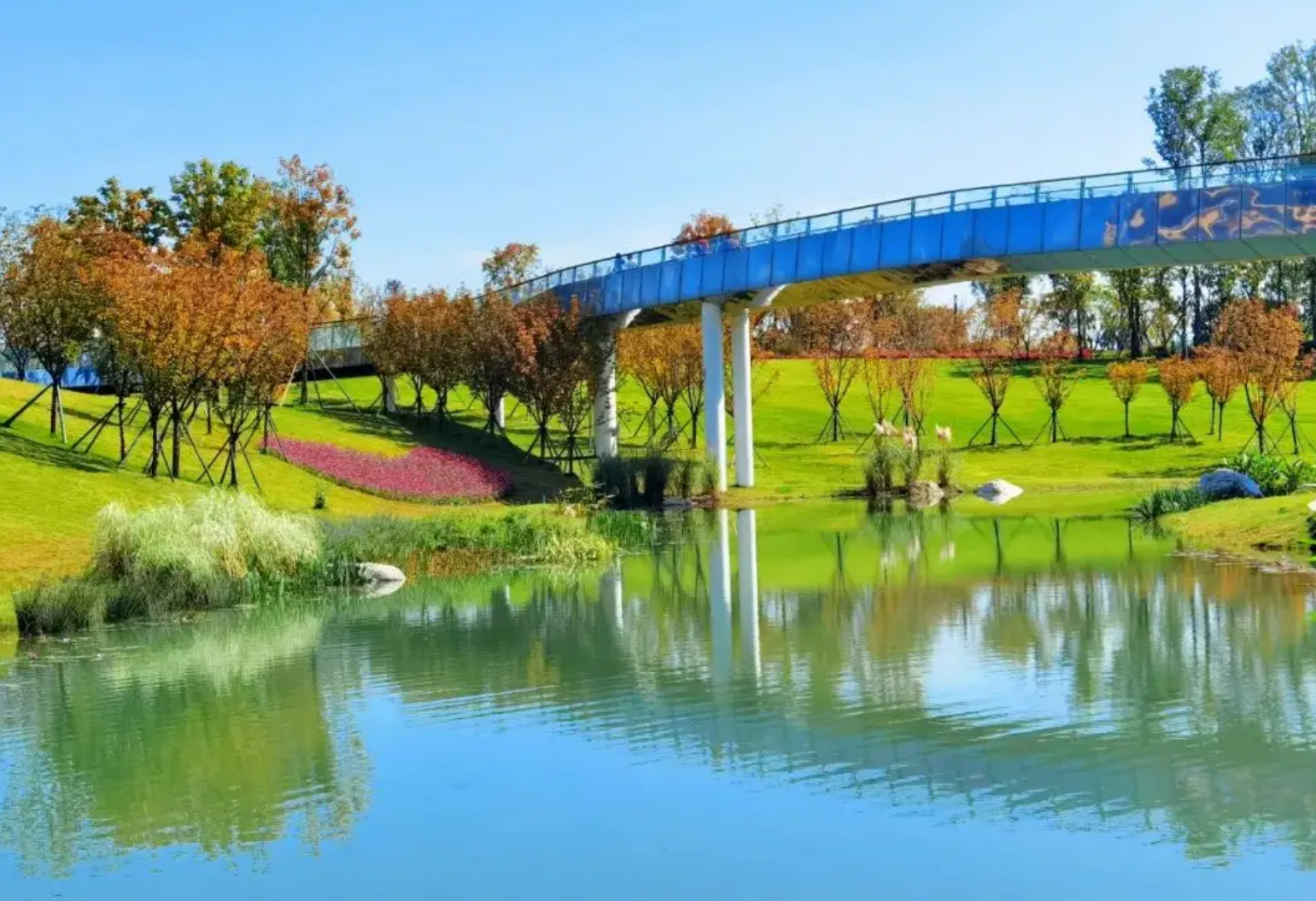 成都市内露营胜地:4大免费营地,过25℃的夏天