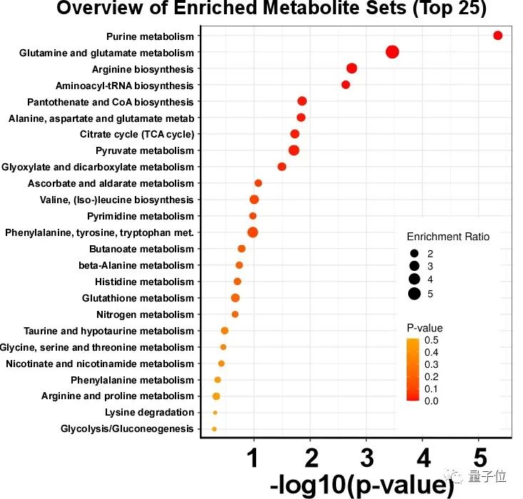 咋吃都不胖的朋友，Nature告诉你原因：是基因突变了