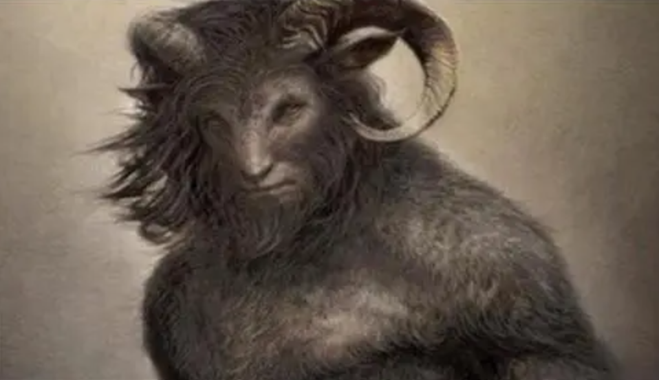 是基因变异,还是杂交产物?为什么印度屡屡出现"人脸山羊"?