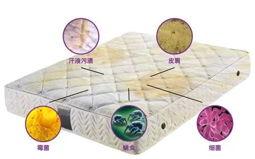 「好百邻软装清洗」沙发、地毯、床垫深度清洗除螨，即洗即用