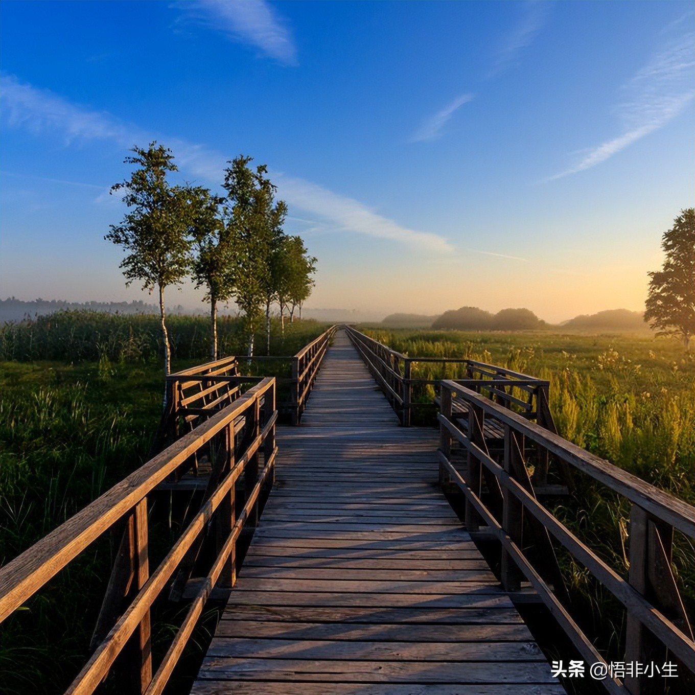 最唯美浪漫的10首现代诗，背会4首以上，你也是个温情的人